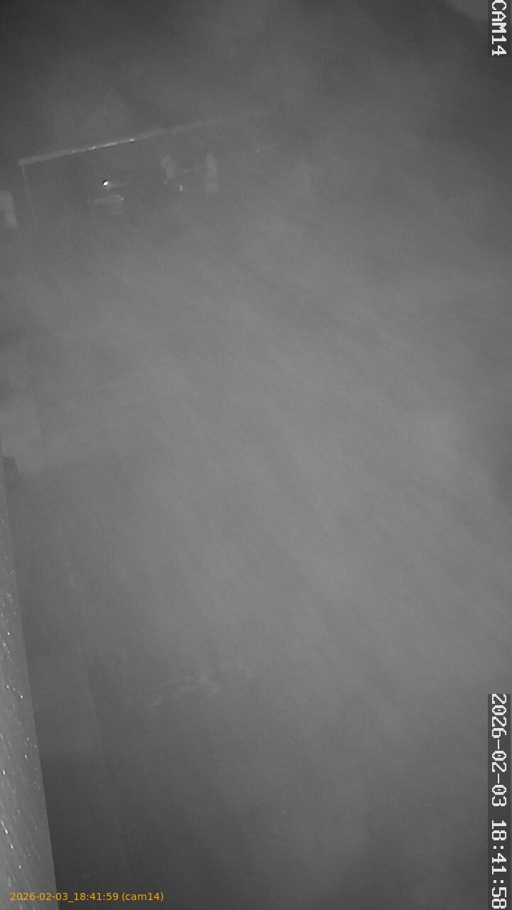 thumbnail_202602031841