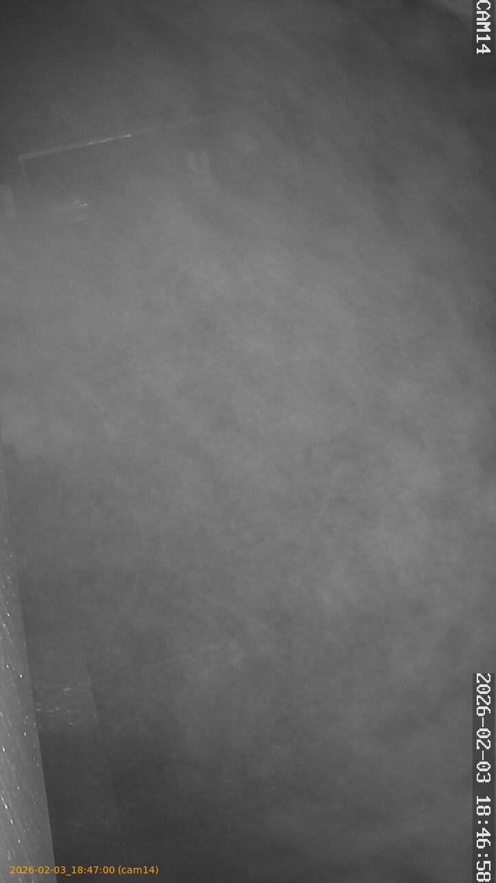 thumbnail_202602031846