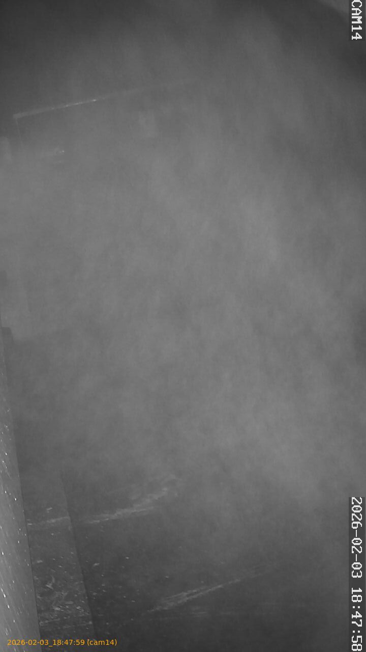 thumbnail_202602031847