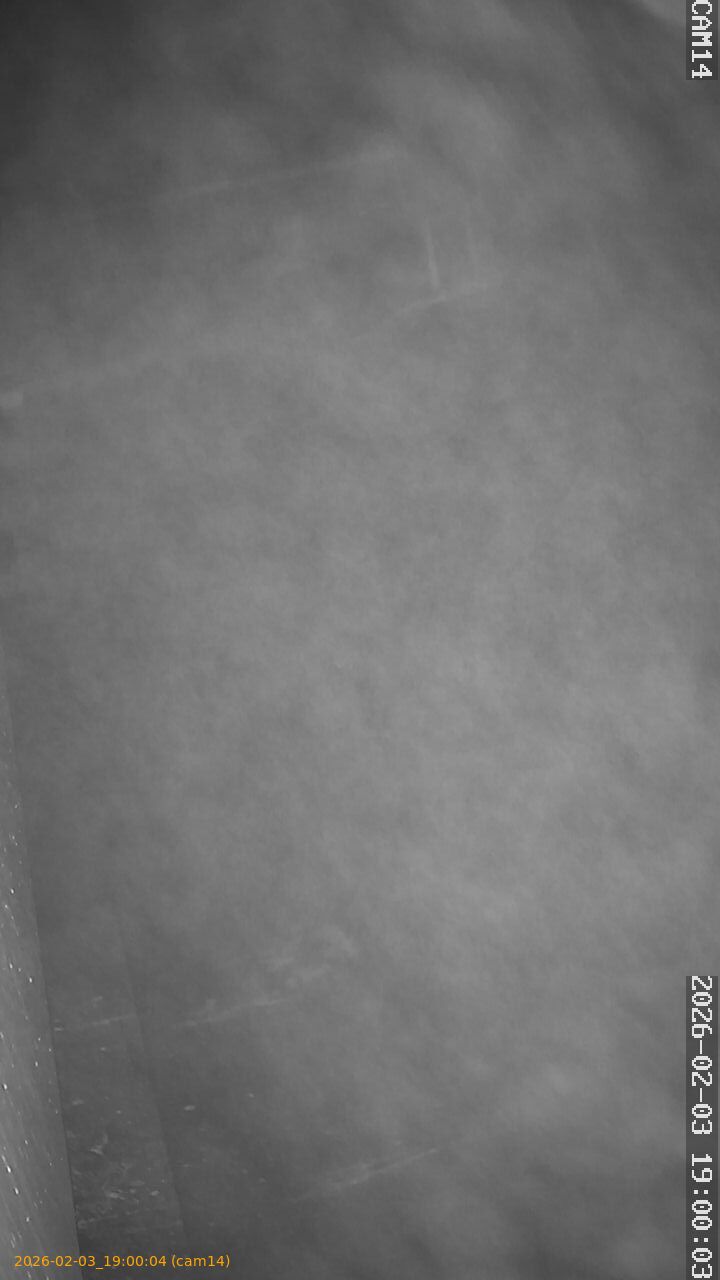 thumbnail_20260203190004