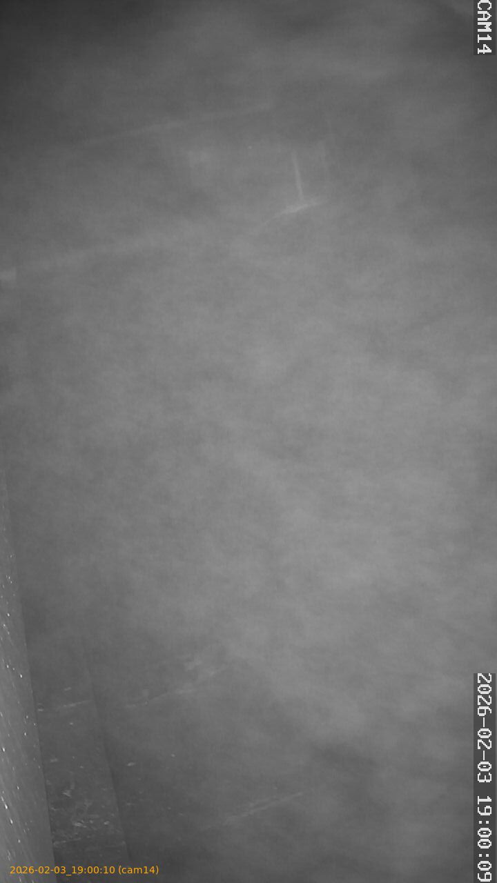 thumbnail_20260203190010