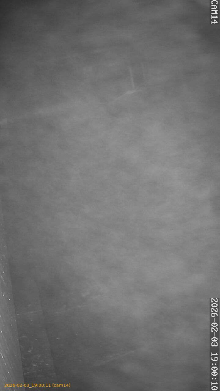 thumbnail_20260203190011