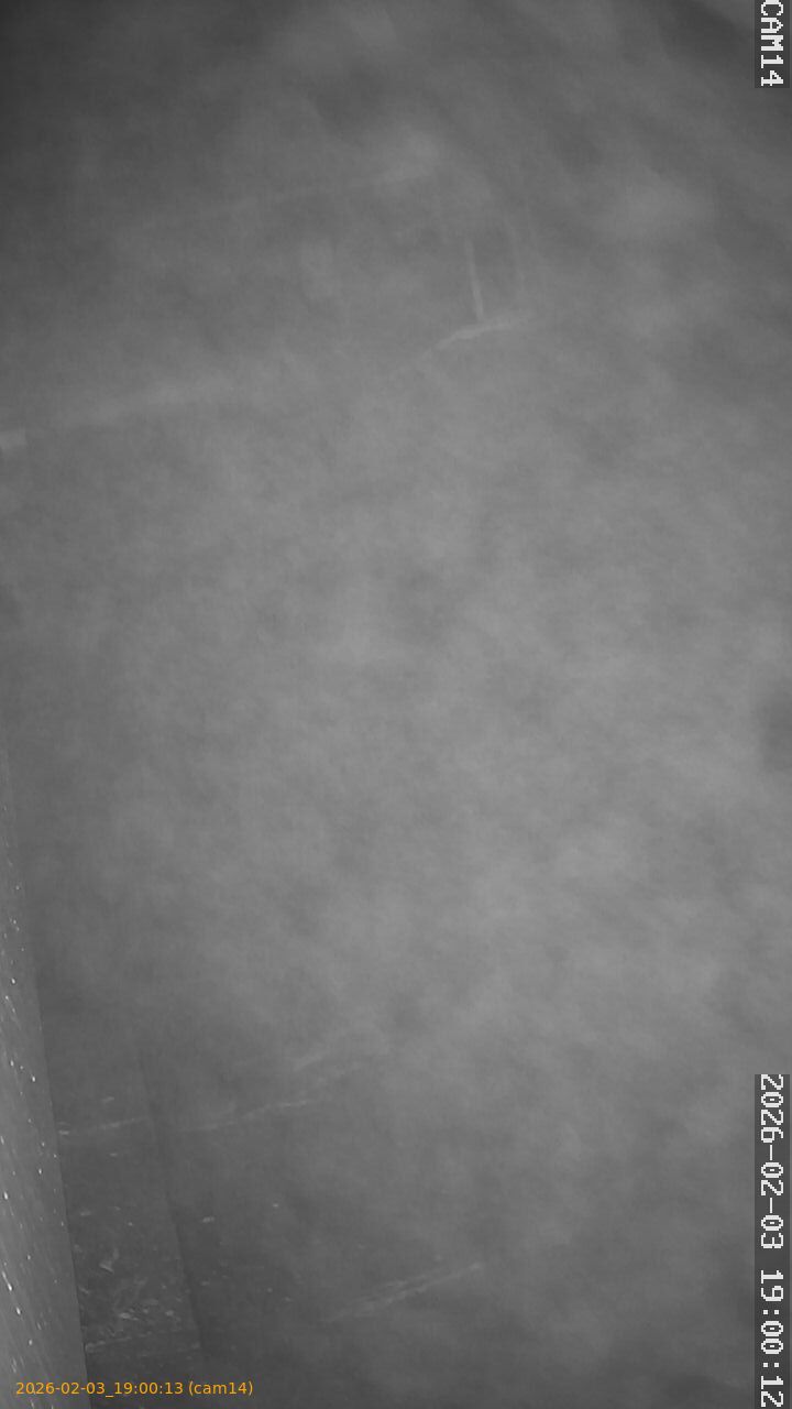 thumbnail_20260203190013