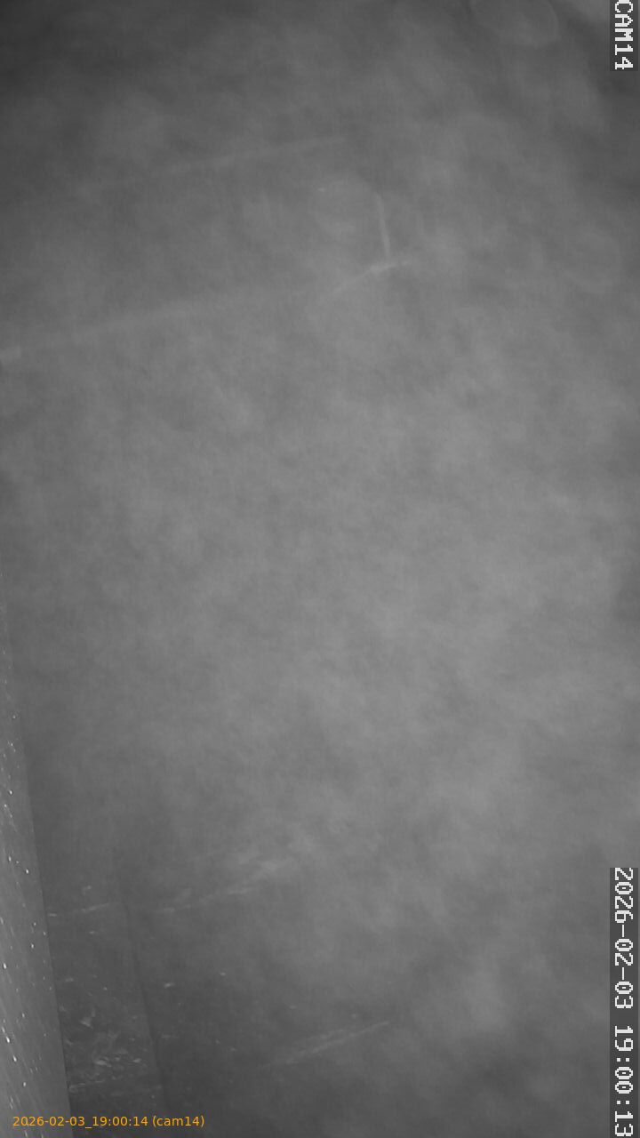 thumbnail_20260203190014