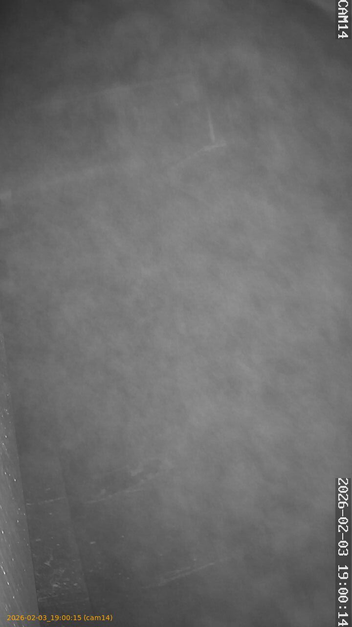 thumbnail_20260203190015