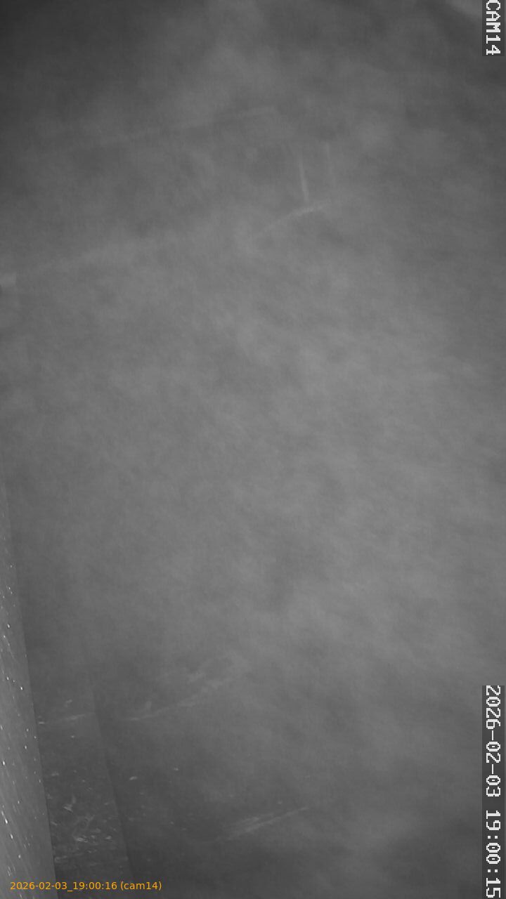 thumbnail_20260203190016