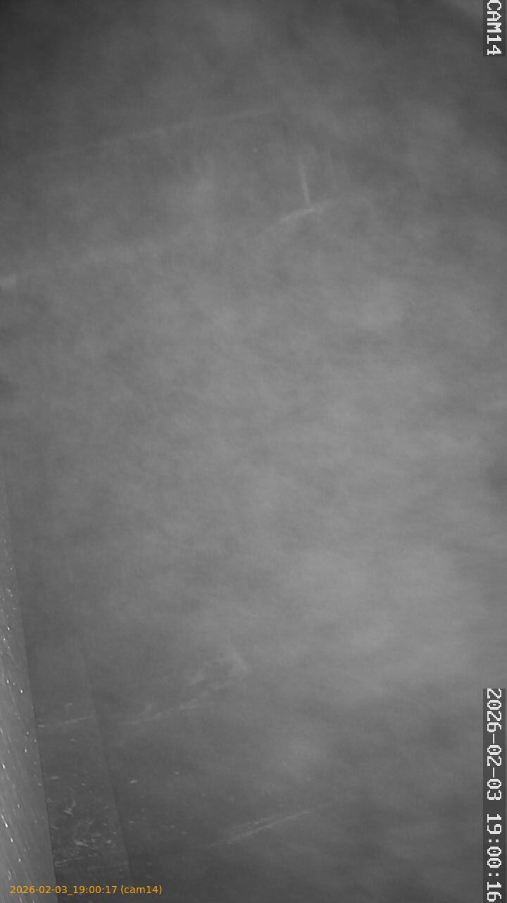 thumbnail_20260203190017