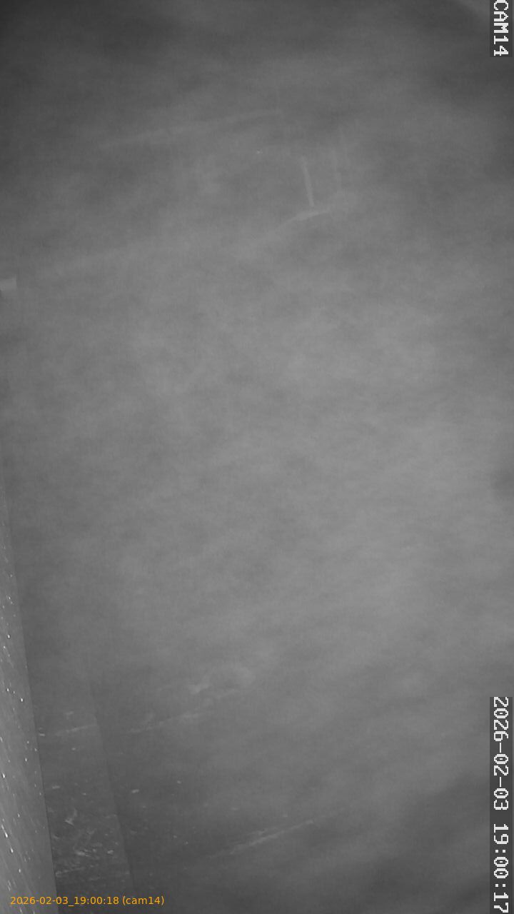 thumbnail_20260203190018