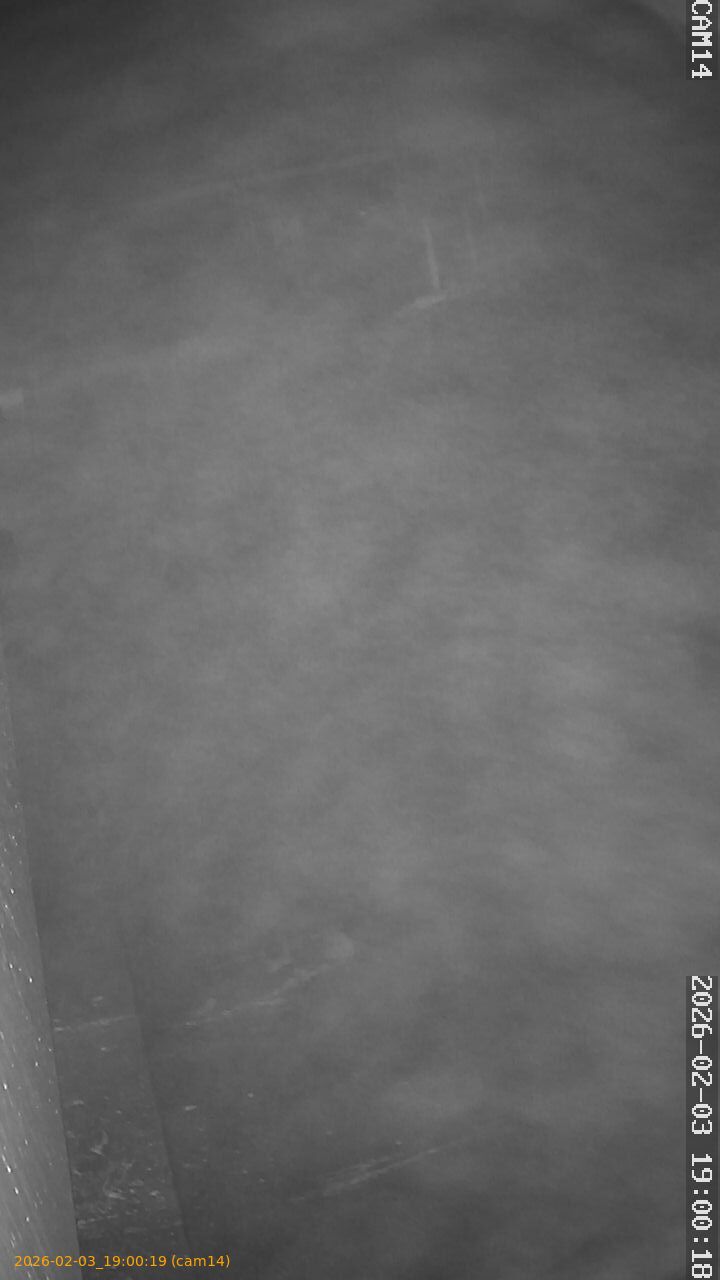 thumbnail_20260203190019