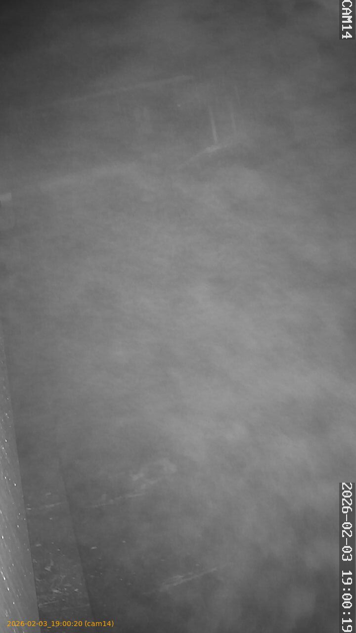 thumbnail_20260203190020