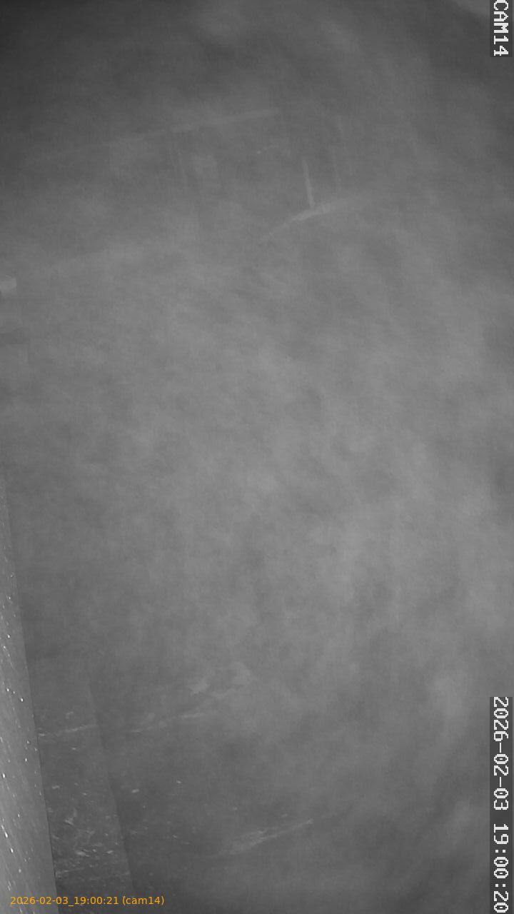 thumbnail_20260203190021