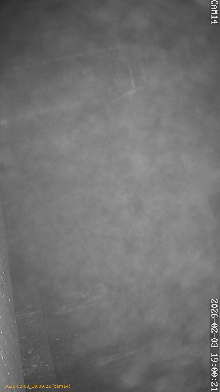 thumbnail_20260203190022