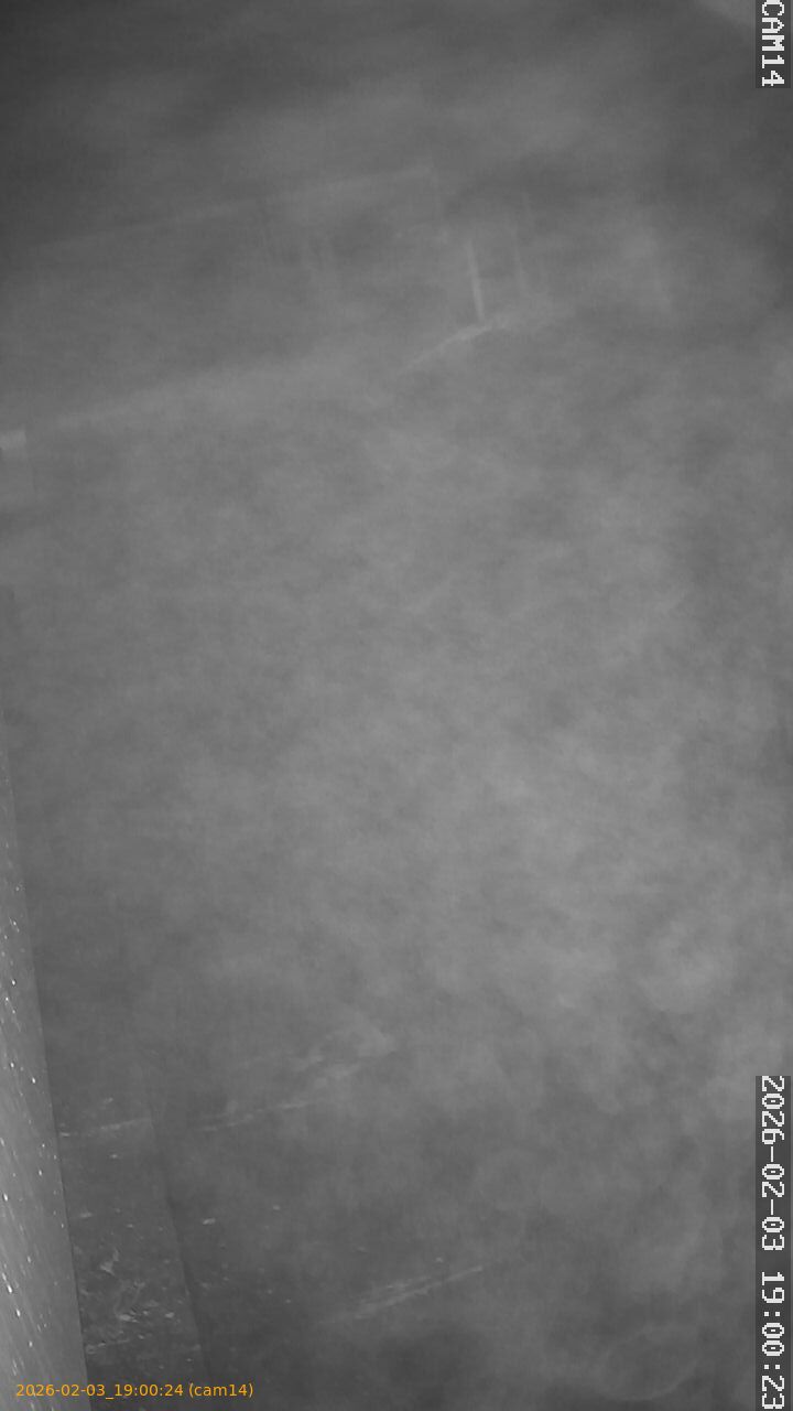 thumbnail_20260203190024