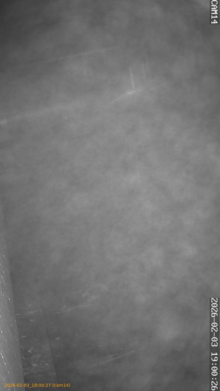 thumbnail_20260203190027