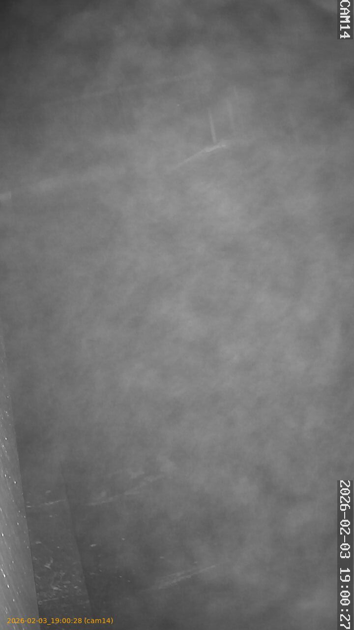 thumbnail_20260203190028