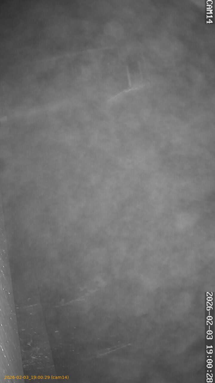 thumbnail_20260203190029