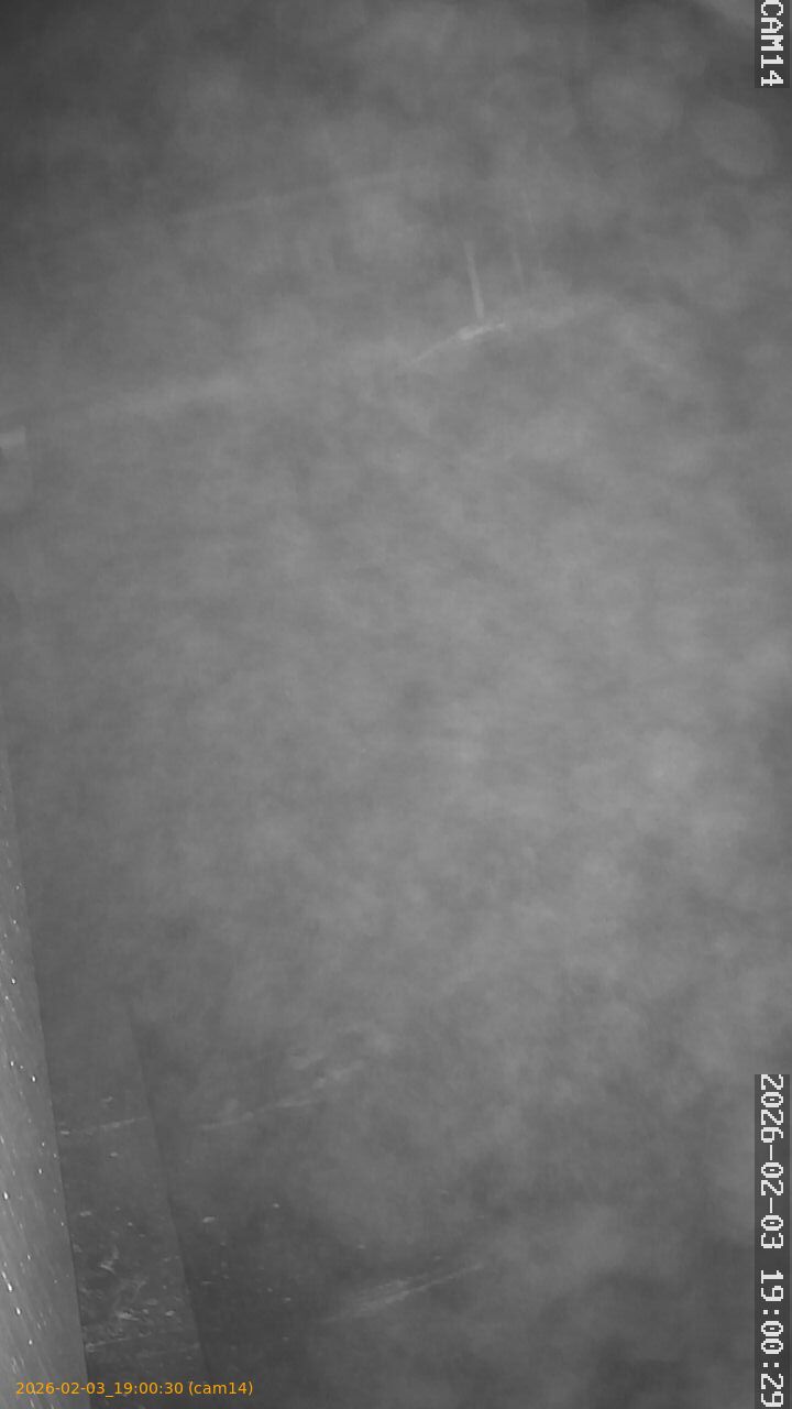 thumbnail_20260203190030