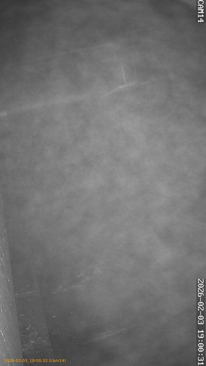 thumbnail_20260203190032