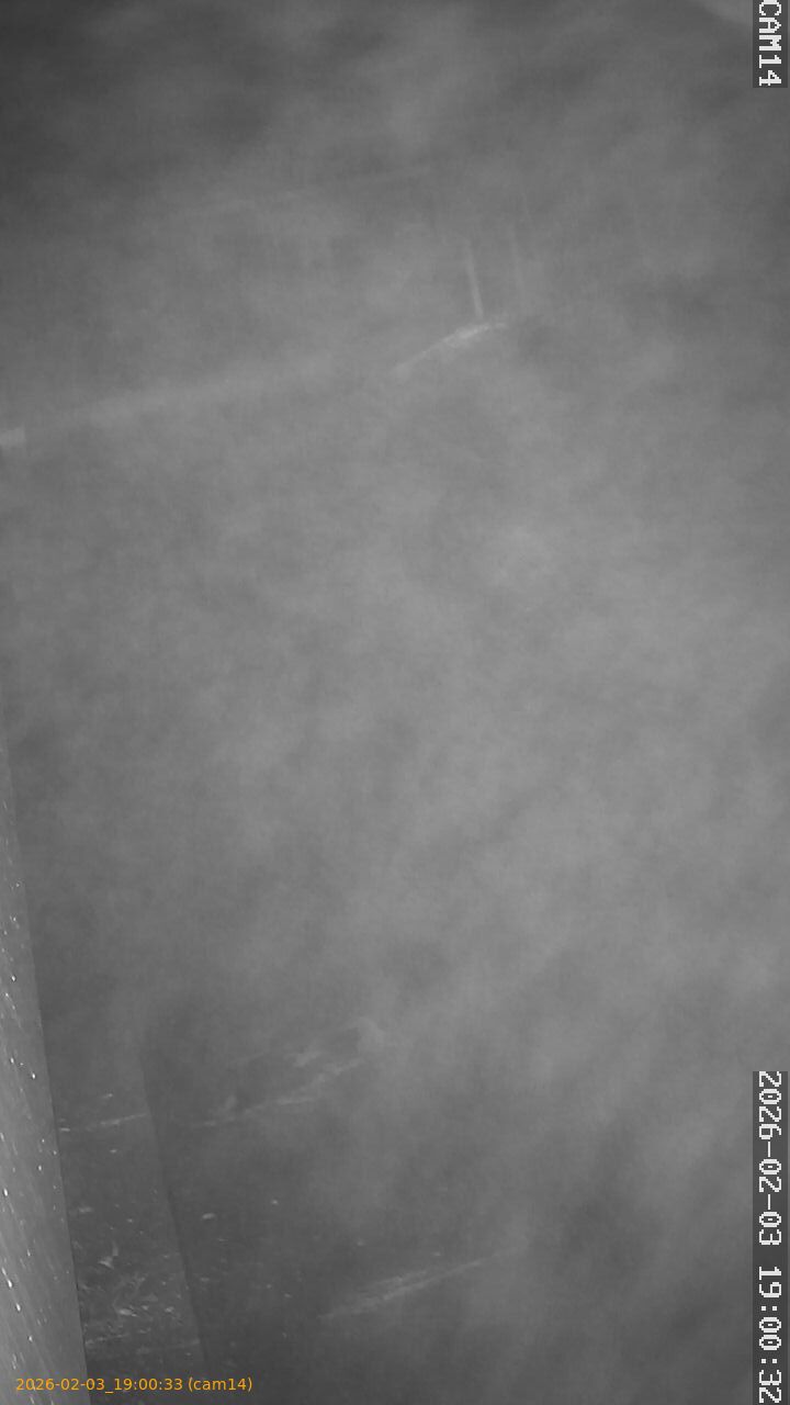 thumbnail_20260203190033