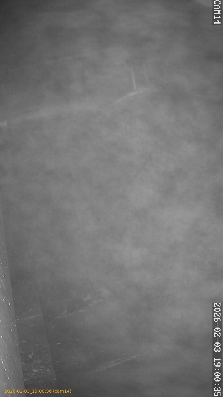 thumbnail_20260203190036