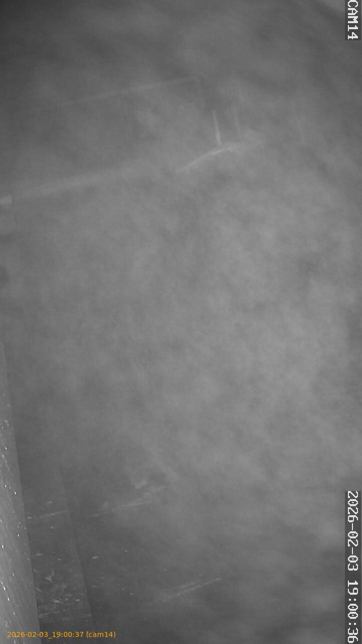 thumbnail_20260203190037