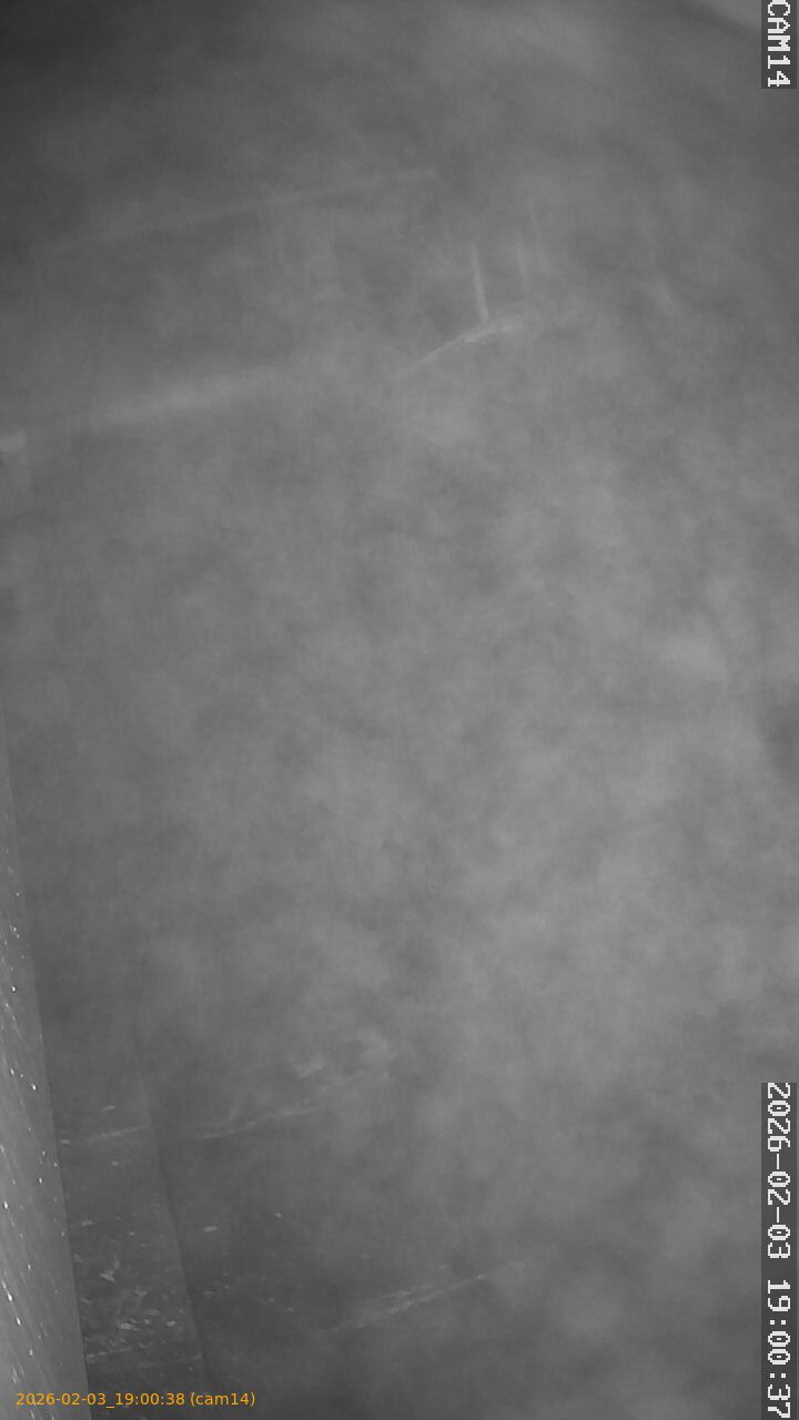 thumbnail_20260203190038