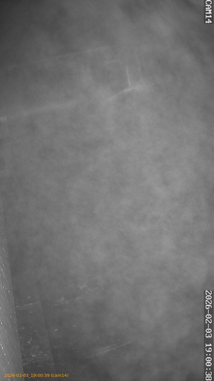 thumbnail_20260203190039