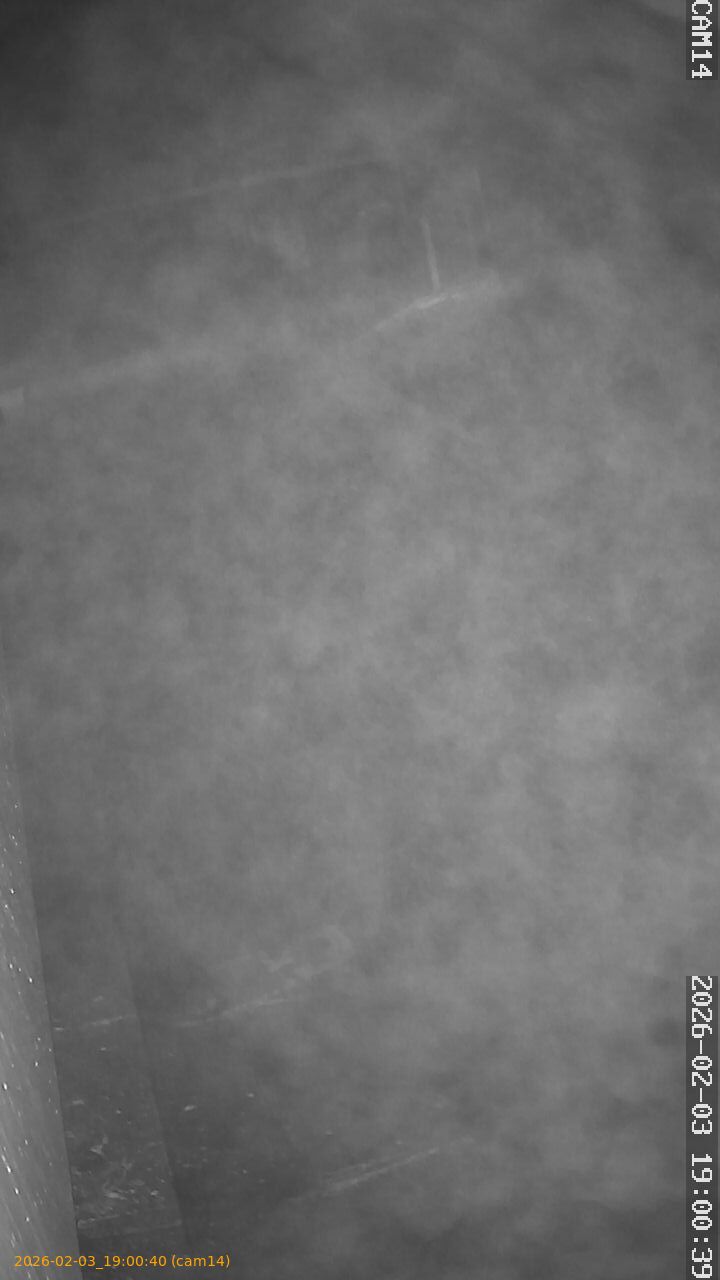 thumbnail_20260203190040