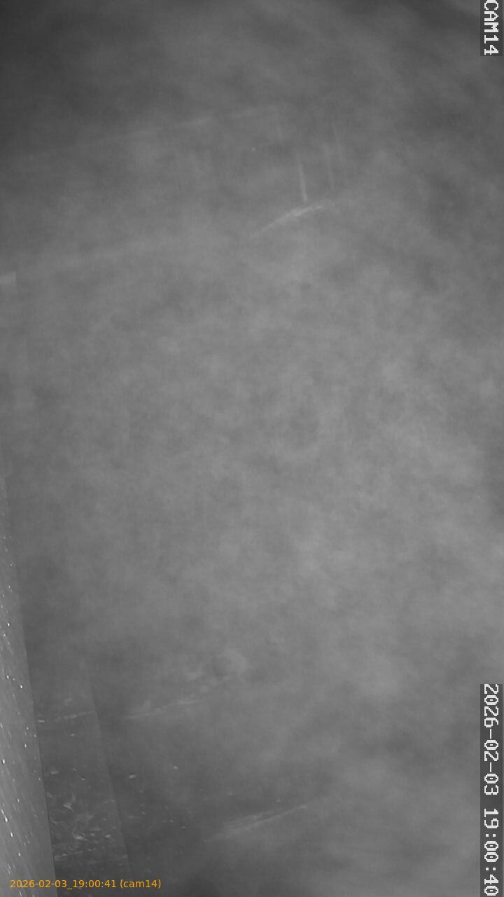 thumbnail_20260203190041