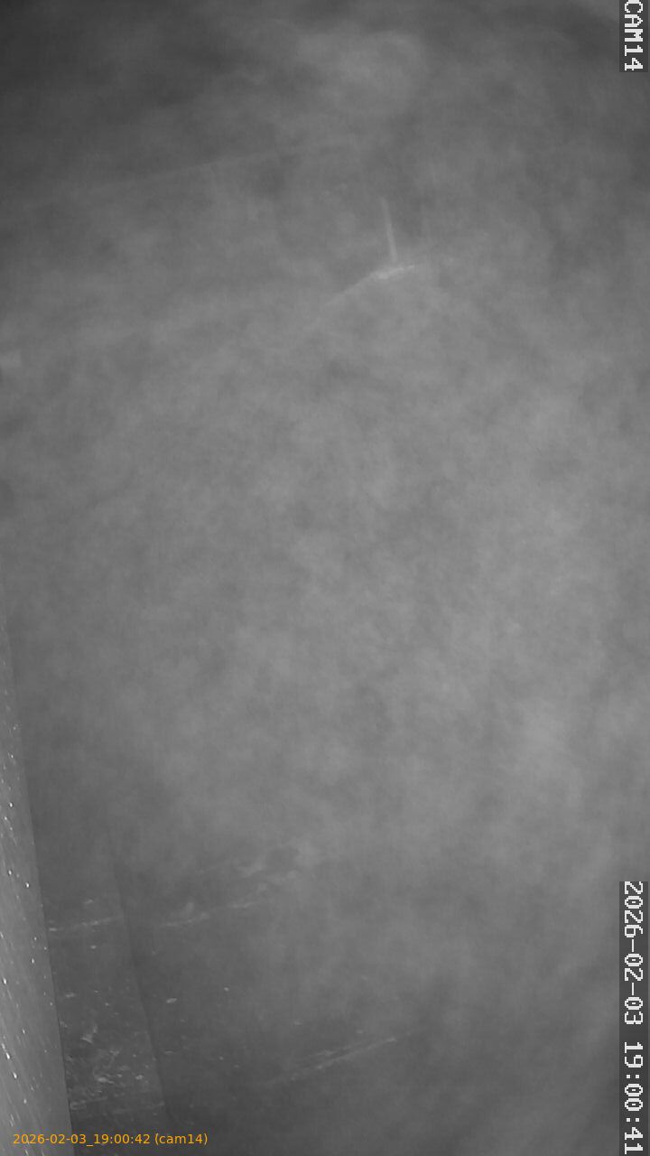 thumbnail_20260203190042