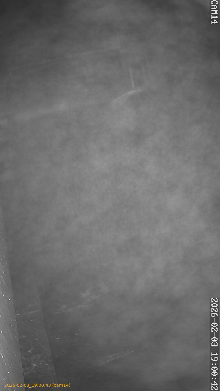 thumbnail_20260203190043