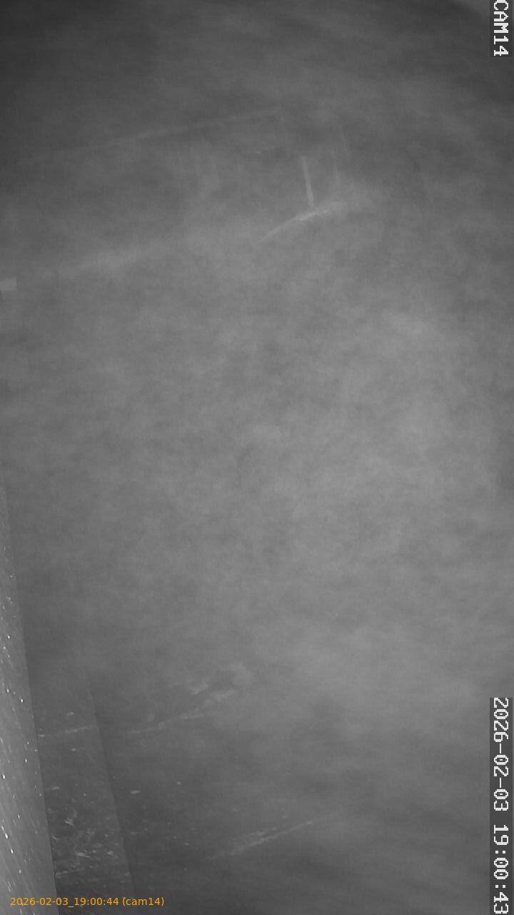 thumbnail_20260203190044