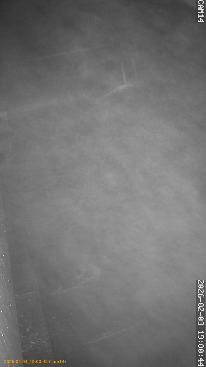 thumbnail_20260203190045