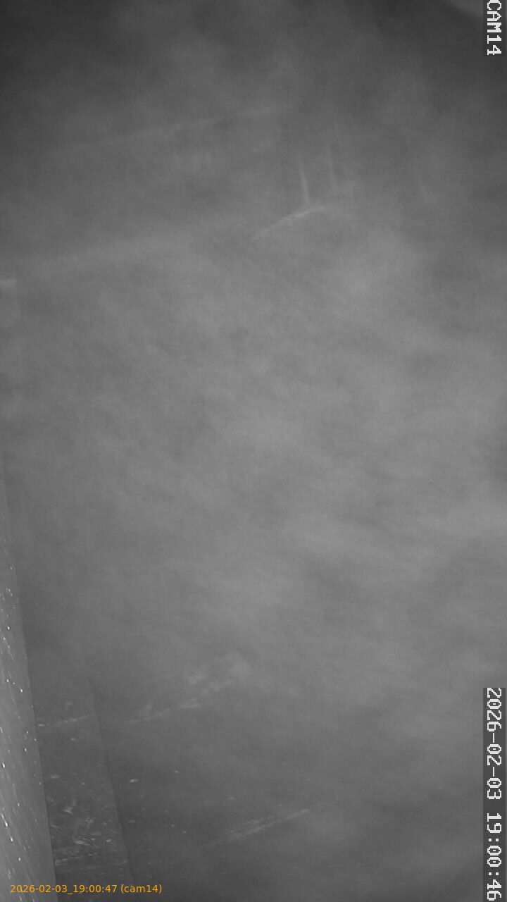 thumbnail_20260203190047