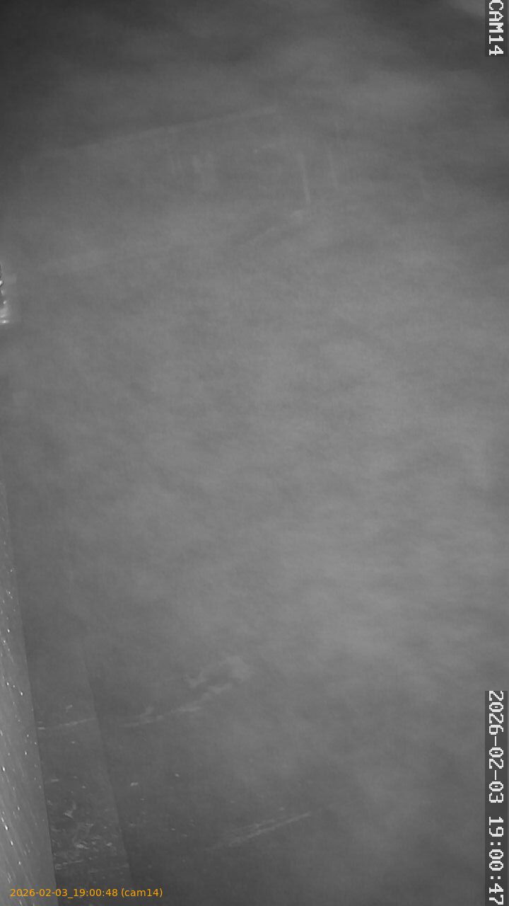 thumbnail_20260203190048