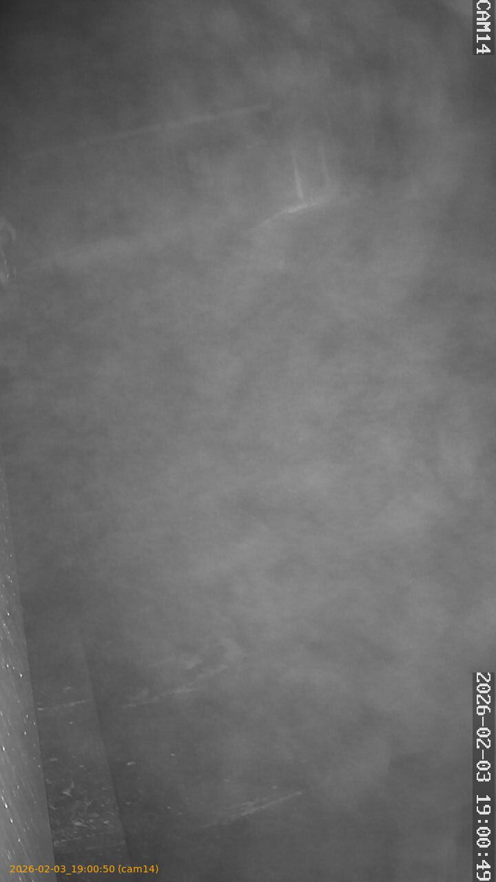 thumbnail_20260203190050