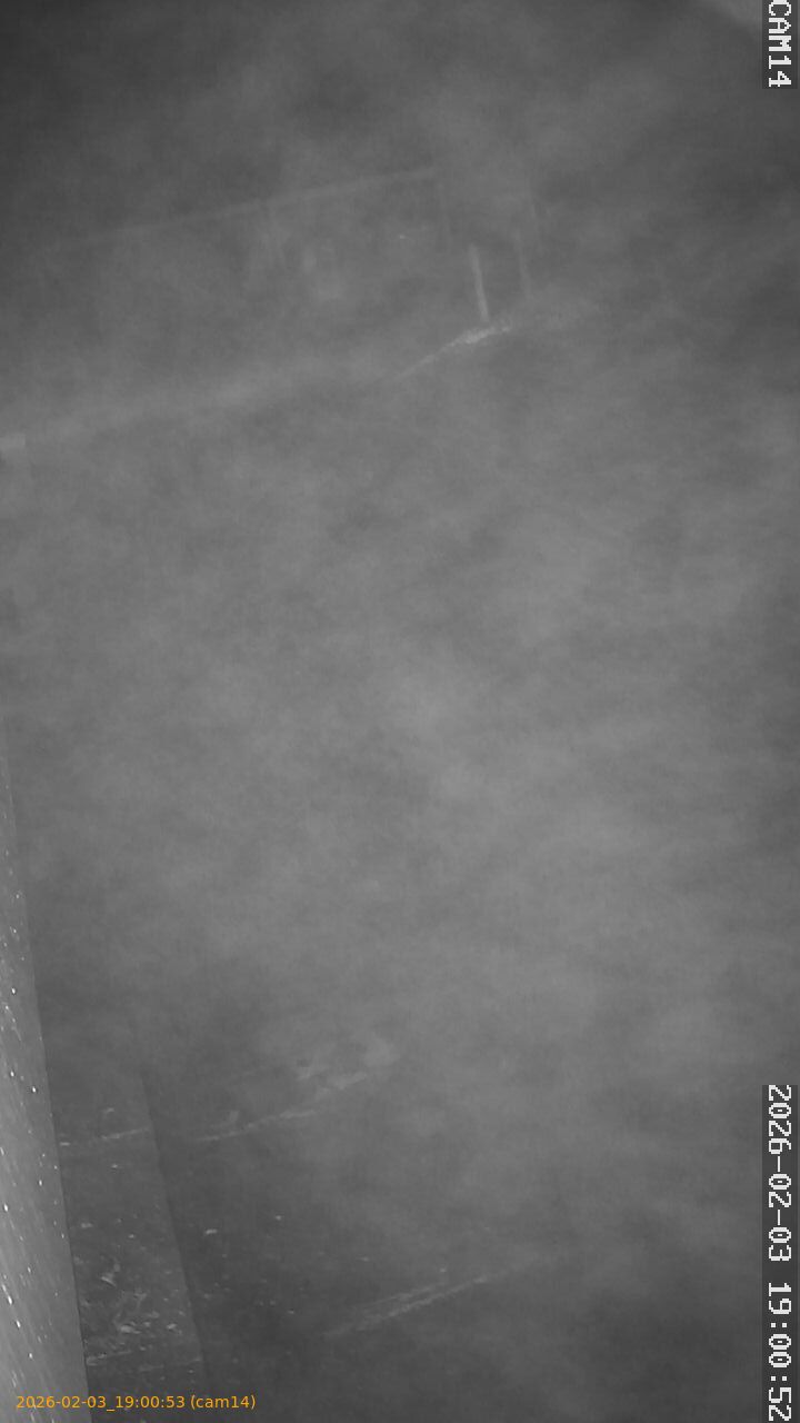 thumbnail_20260203190053