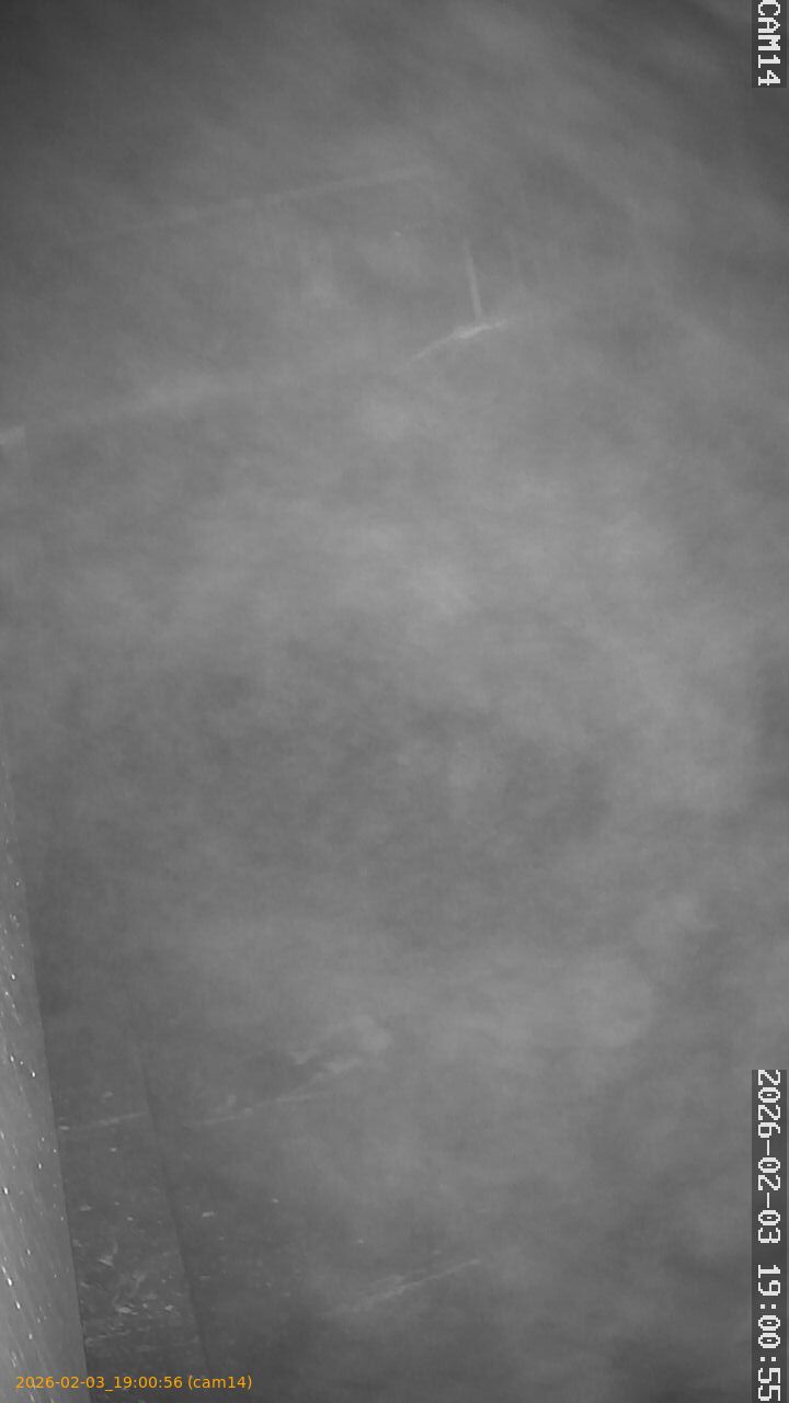 thumbnail_20260203190056