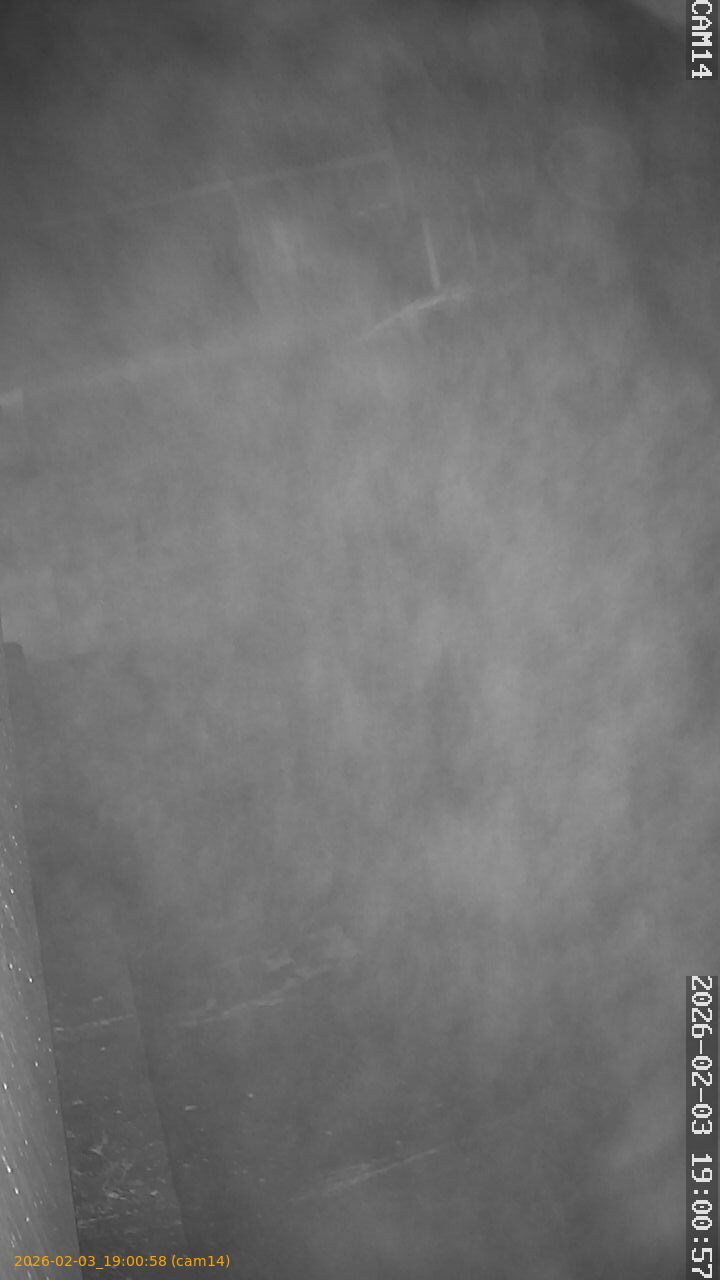 thumbnail_20260203190058