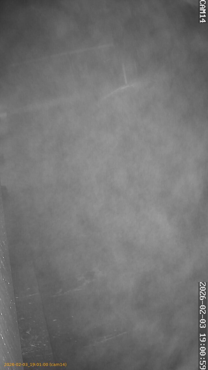 thumbnail_20260203190100