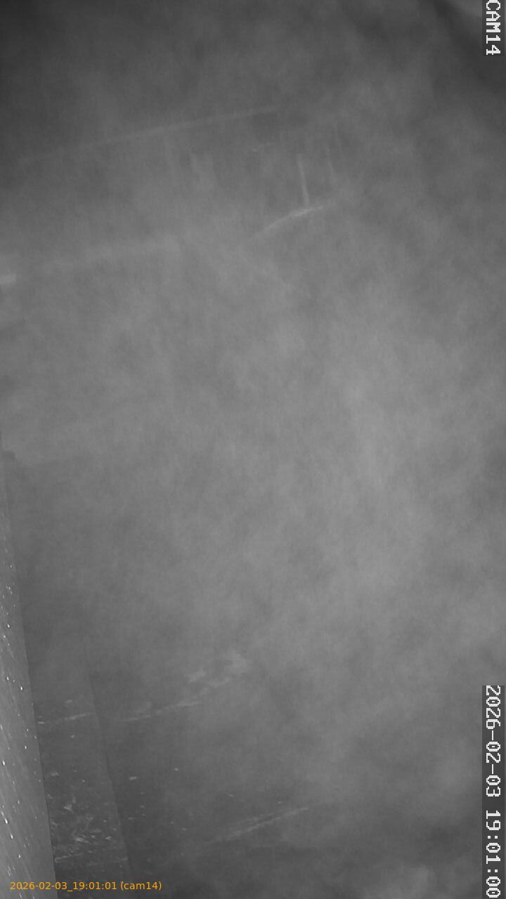 thumbnail_20260203190101