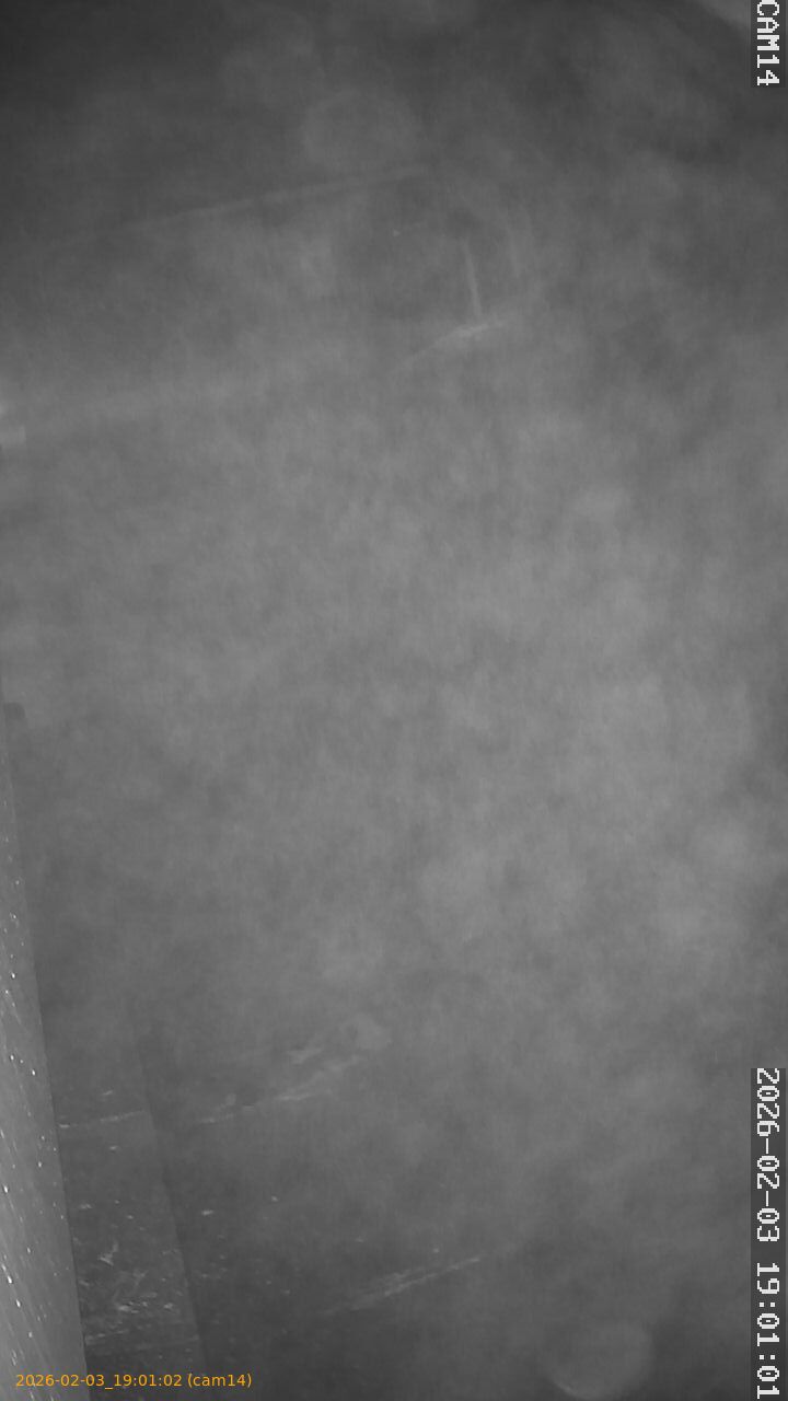 thumbnail_20260203190102