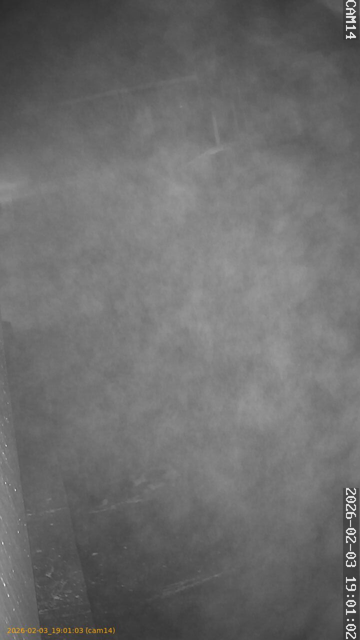 thumbnail_20260203190103