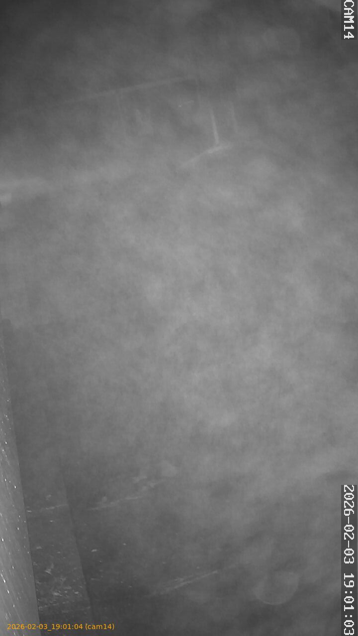 thumbnail_20260203190104