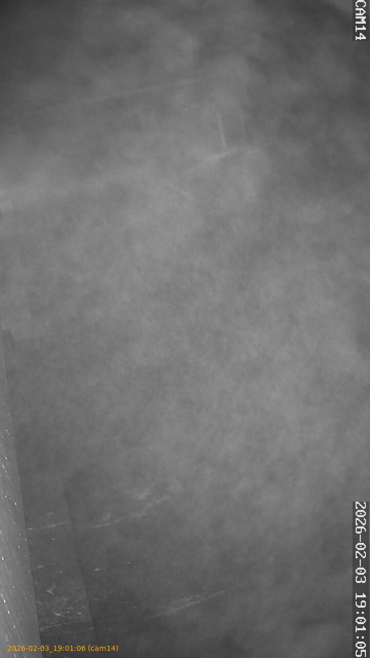 thumbnail_20260203190106