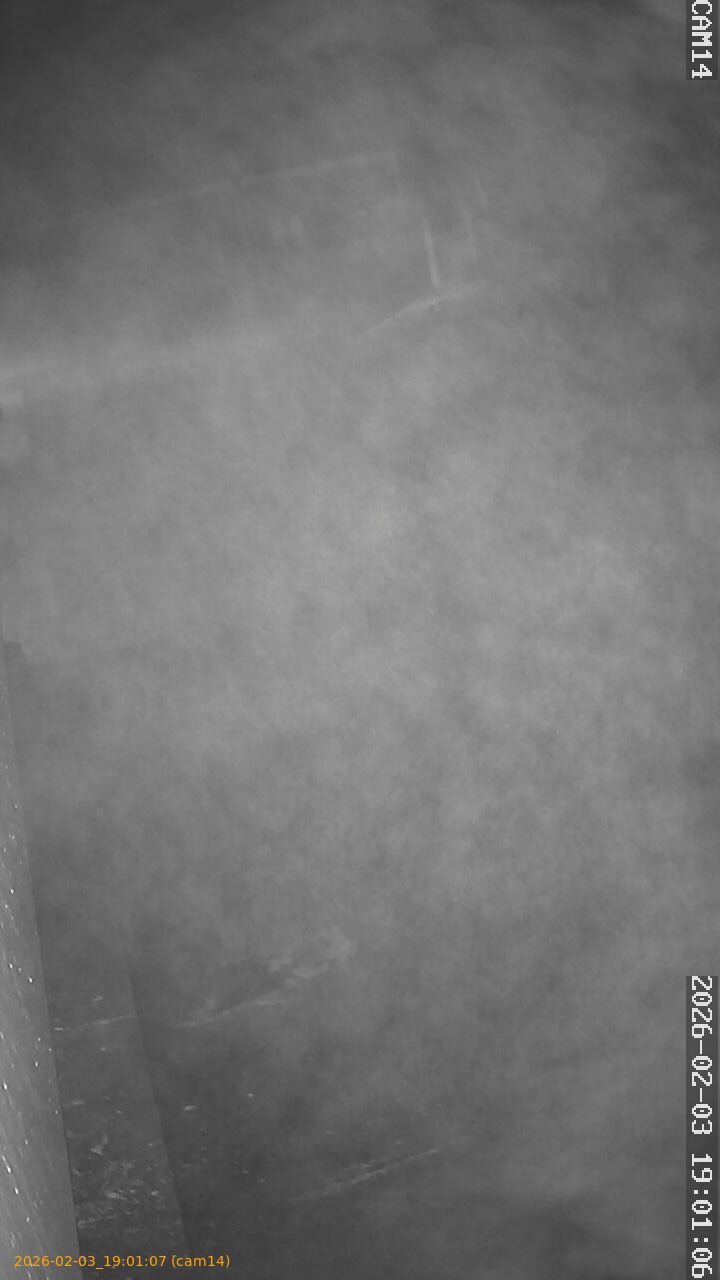 thumbnail_20260203190107