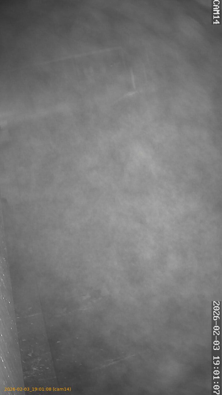 thumbnail_20260203190108