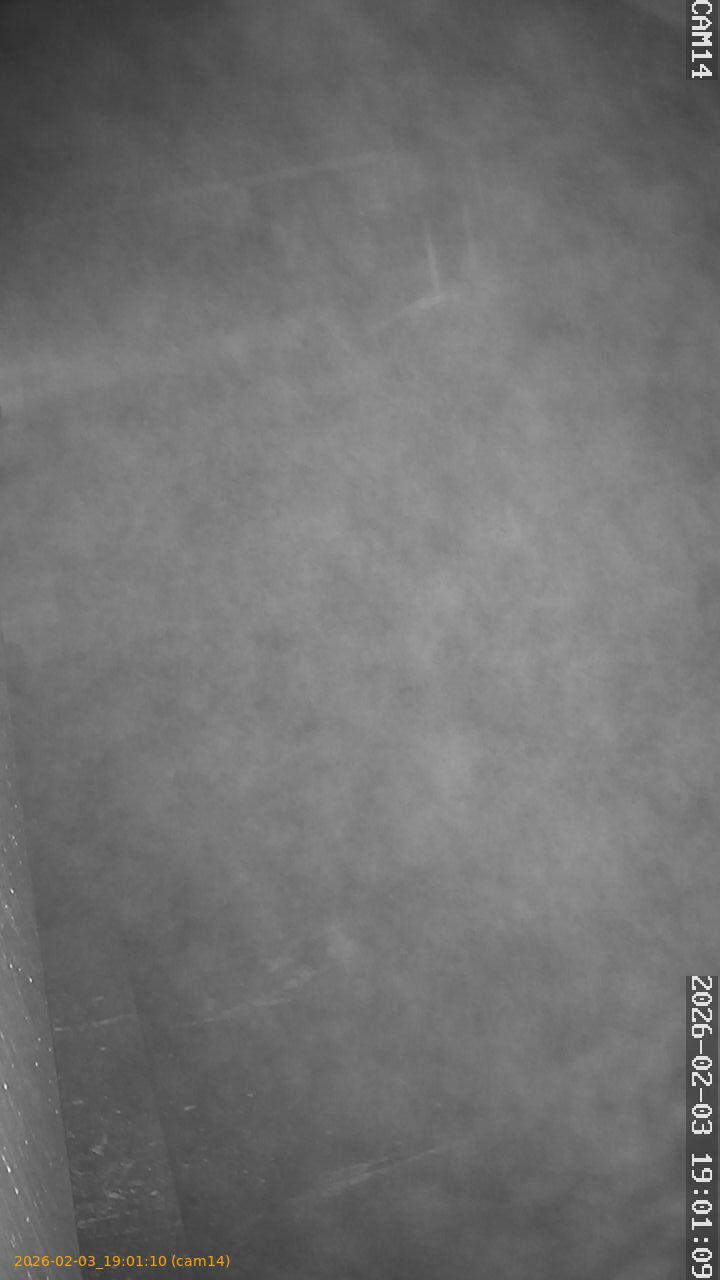 thumbnail_20260203190110