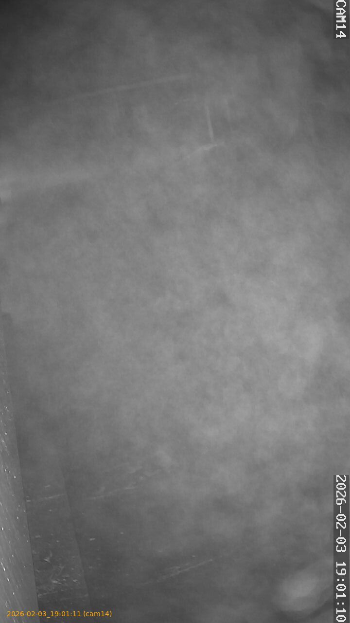 thumbnail_20260203190111