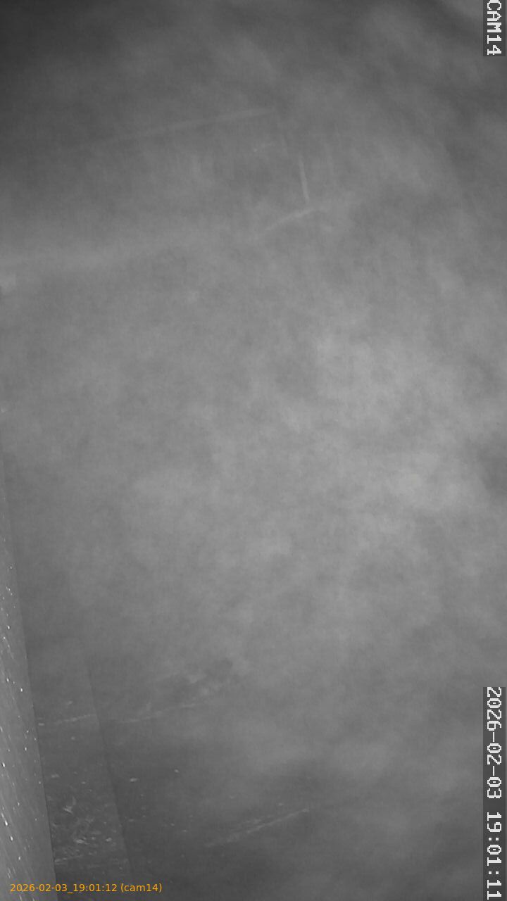 thumbnail_20260203190112